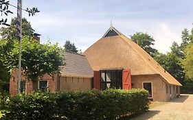 Landgoed Olterterp Lodges, kies een comfortabel huisje of appartement in bos met eigen entree, volledig ingerichte keuken en vele andere faciliteiten